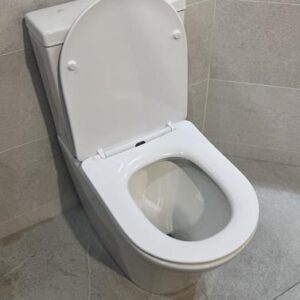 Savoy close coupled toilet